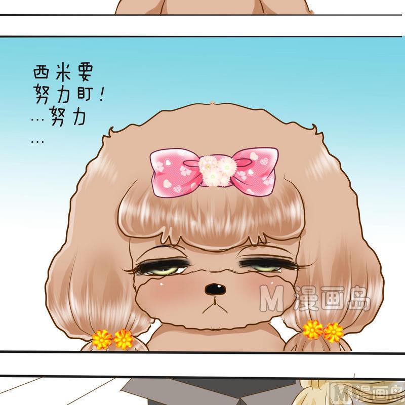 西米和猪豆儿漫画,第21话 狗狗心事（上）1图