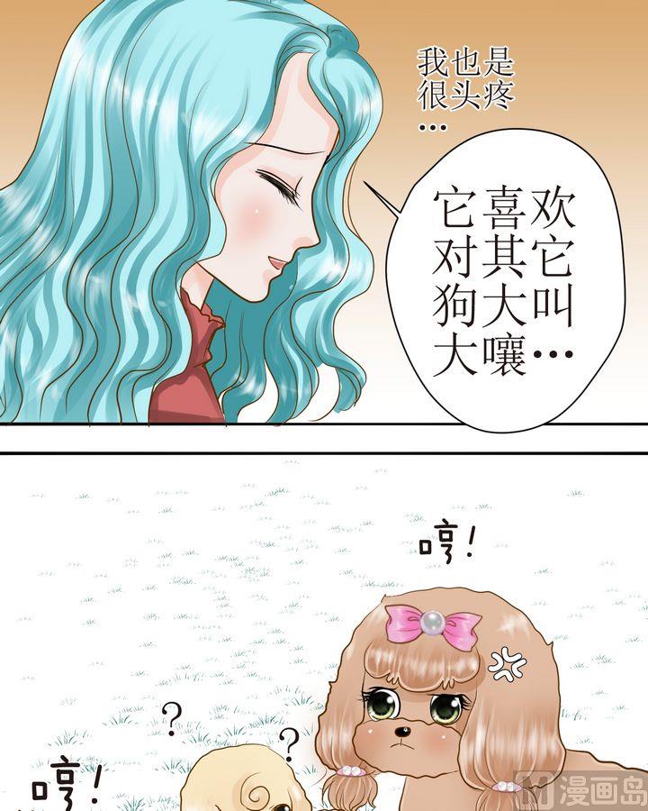 西米和猪豆儿漫画,第28话 毛小孩的战斗（上）2图