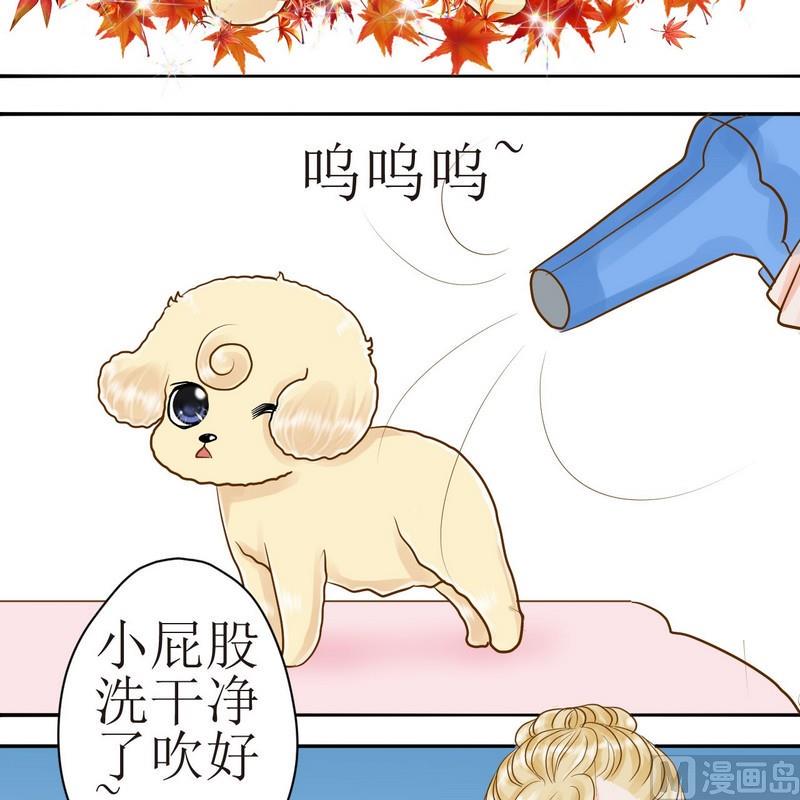 西米和绿豆红豆的做法大全漫画,第24话 乖，摸摸头2图