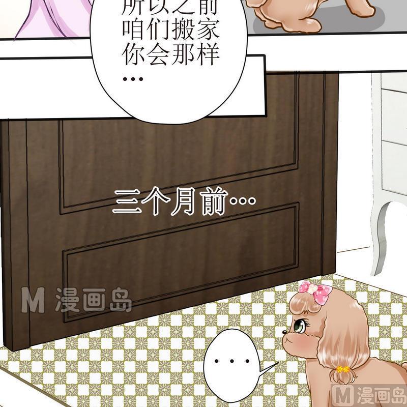 西米和红豆和糖漫画,第21话 狗狗心事（上）2图