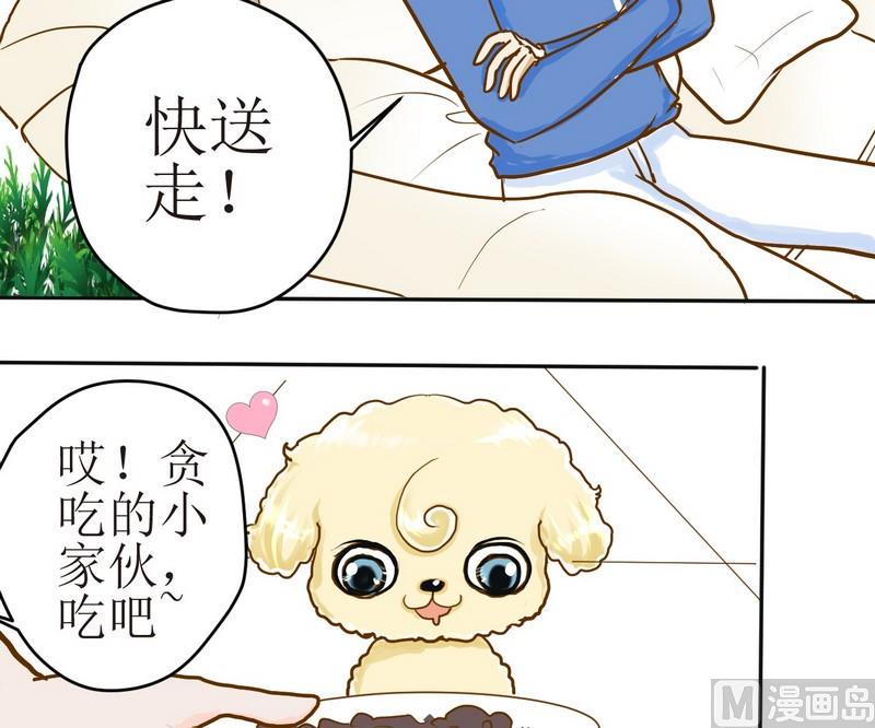 西米和猪豆儿漫画,第4话 留还是不留？1图