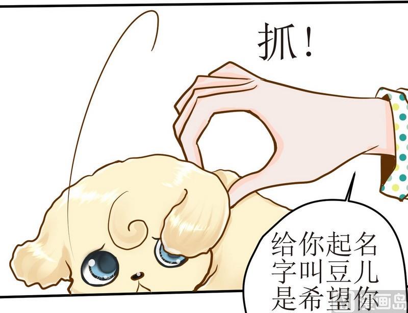 西米和小西米的区别漫画,第6话 开课啦（上）2图