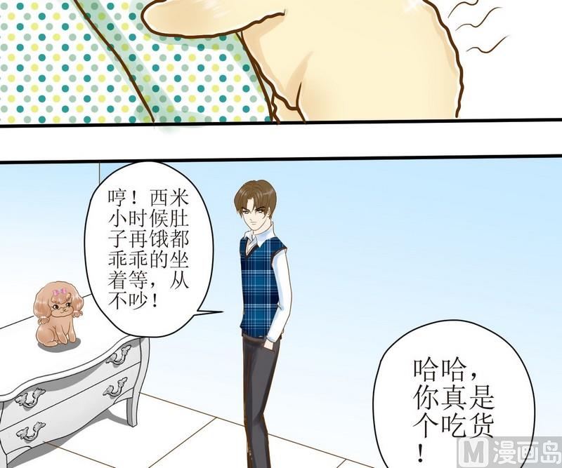 西米可以和黄豆一起打豆浆吗漫画,第8话 汝名猪豆儿2图