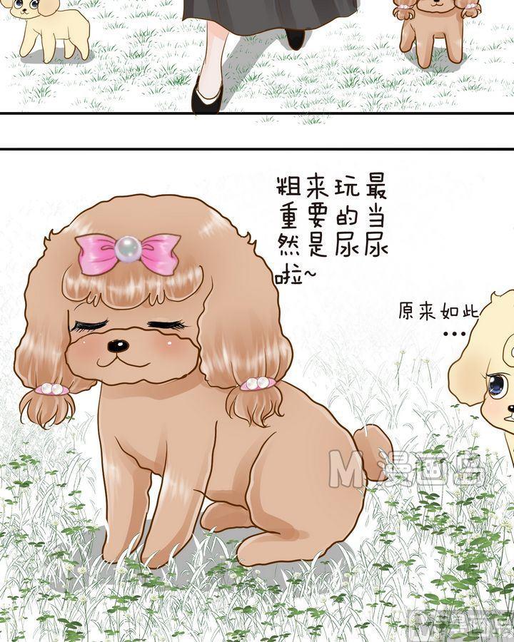 西米和什么搭配好吃漫画,第27话 找场子2图