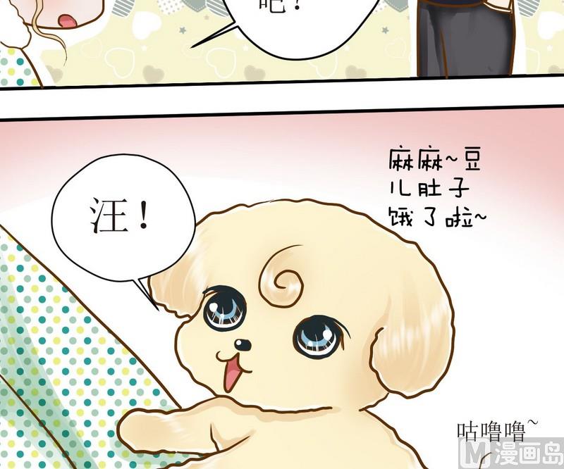 西米可以和黄豆一起打豆浆吗漫画,第8话 汝名猪豆儿1图