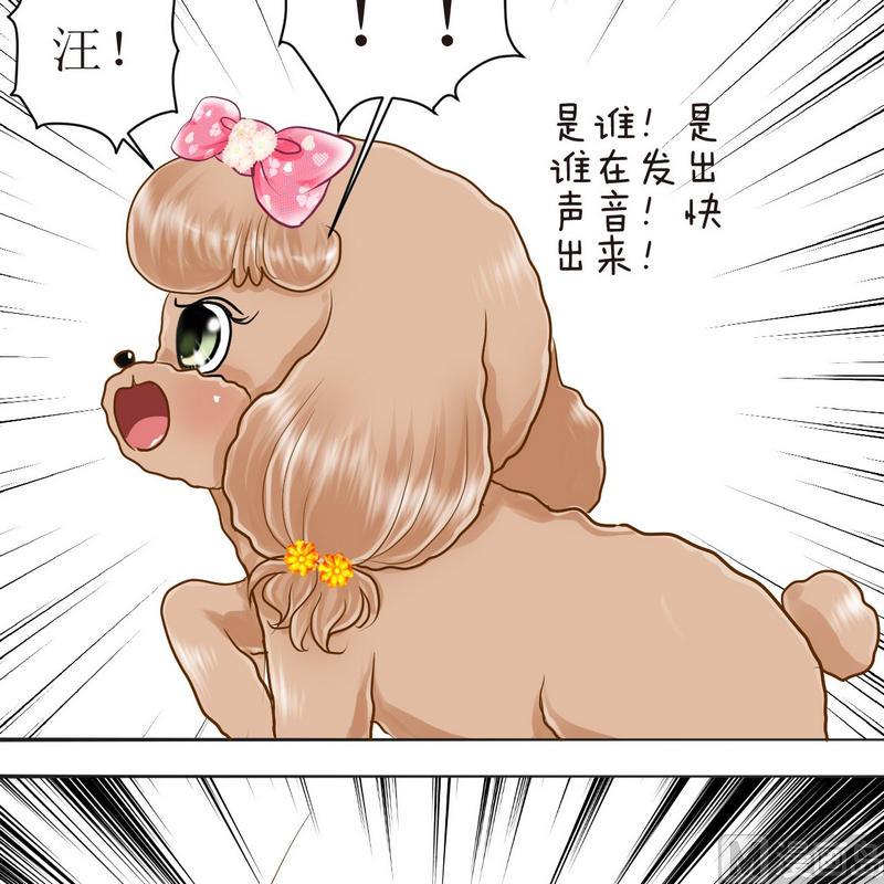 西米和猪豆儿漫画,第21话 狗狗心事（上）1图