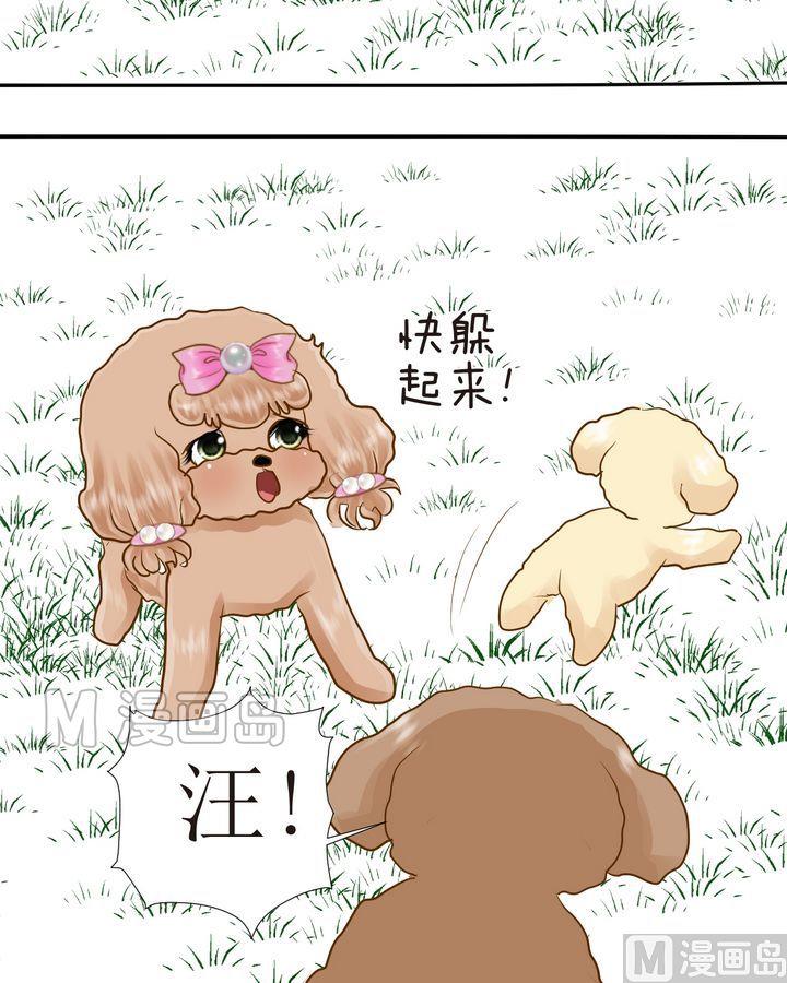 西米和粘米粉怎么做好吃漫画,第29话 毛小孩的战斗（下）2图