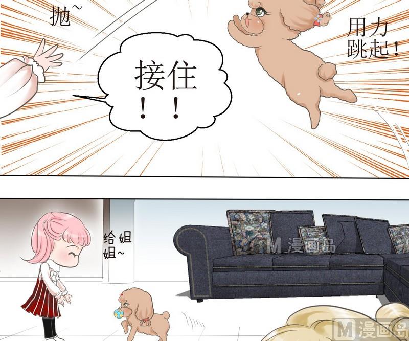 西米和芋圆怎么煮漫画,第2话 第二个毛孩儿2图