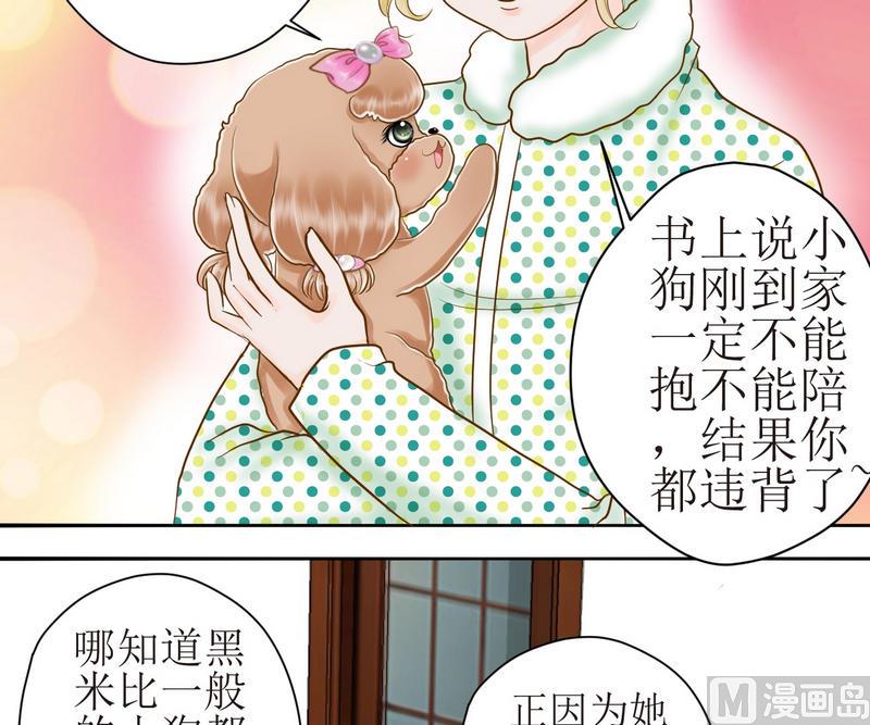 西米和什么一起熬粥好喝漫画,第17话 新一轮考研（上）1图