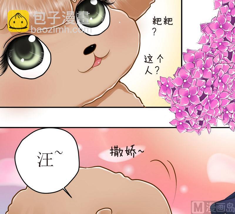 西米和芋圆怎么煮漫画,第16话 番外 初见西米（下）1图