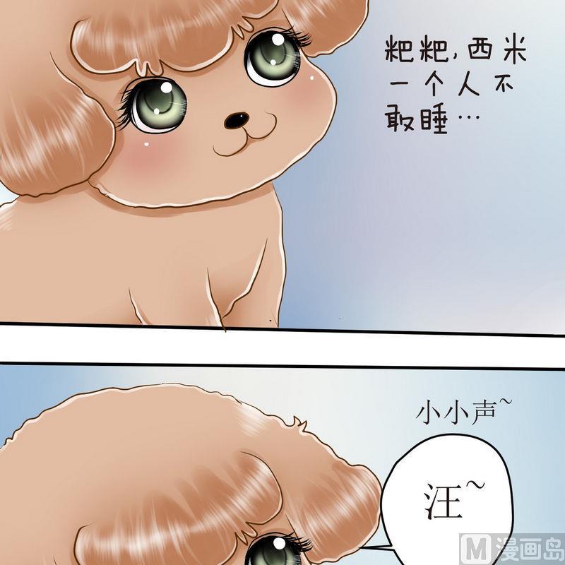 西米和猪豆儿漫画,第16话 番外 初见西米（下）1图