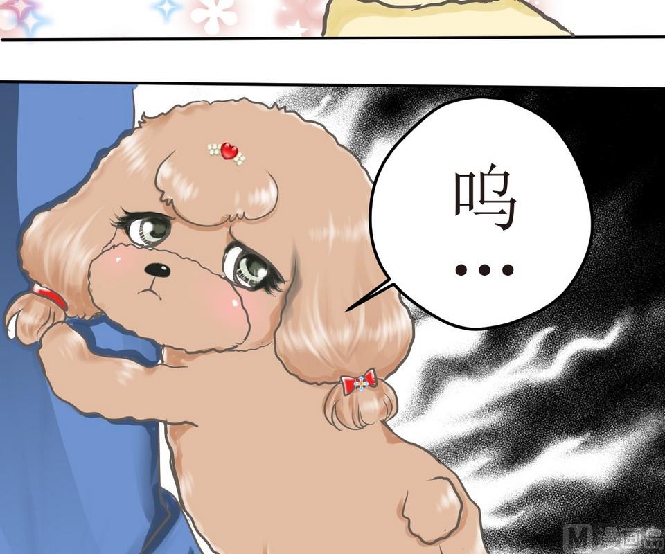 西米和猪豆儿漫画,第3话 伤心的小公举1图