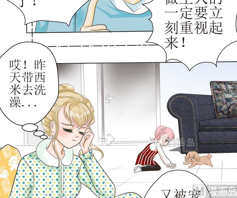 西米和什么搭配好吃漫画,第2话 第二个毛孩儿1图