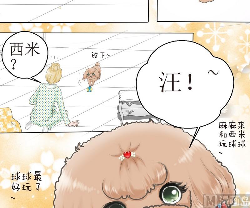 西米和粘米粉怎么做好吃漫画,第2话 第二个毛孩儿2图