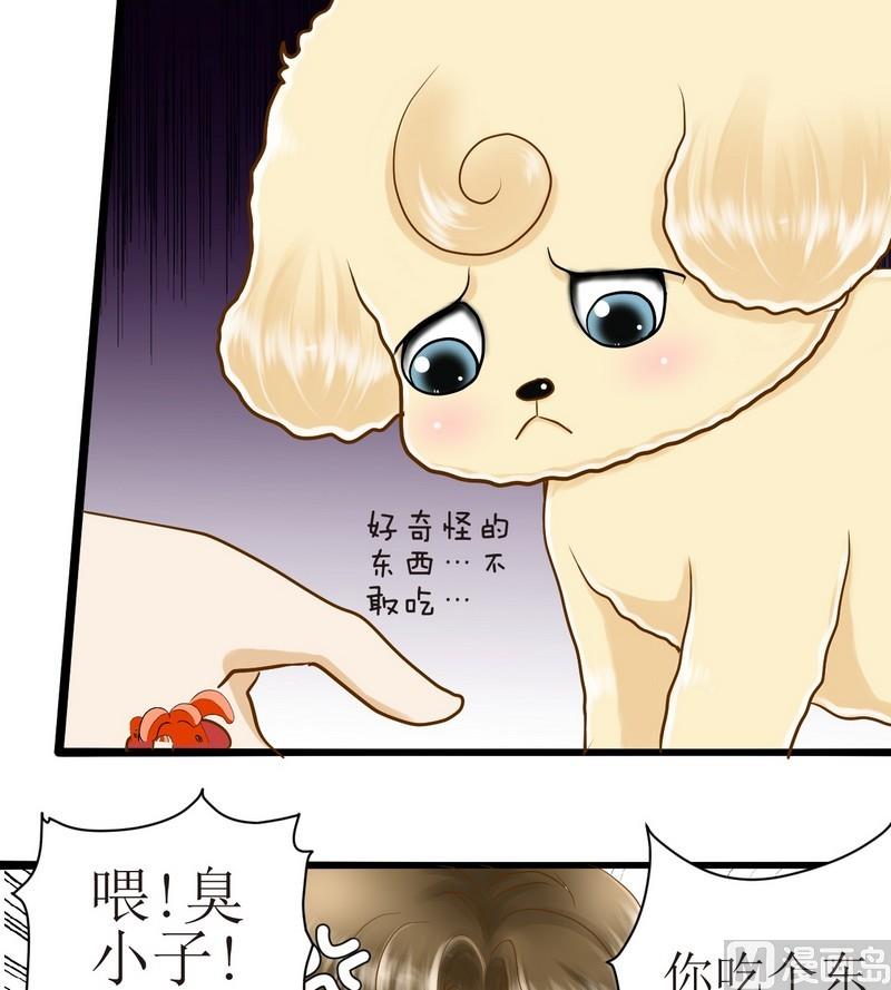 西米和芒果可以做什么漫画,第14话 粑粑的训练课（下）1图