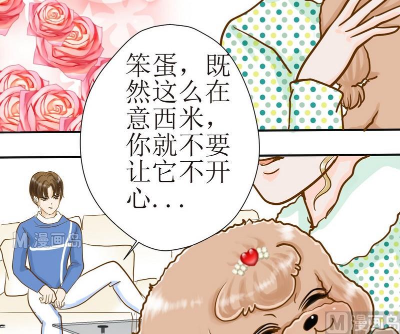 西米跟木瓜牛奶漫画,第4话 留还是不留？1图