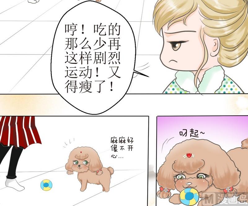 西米和粘米粉怎么做好吃漫画,第2话 第二个毛孩儿1图