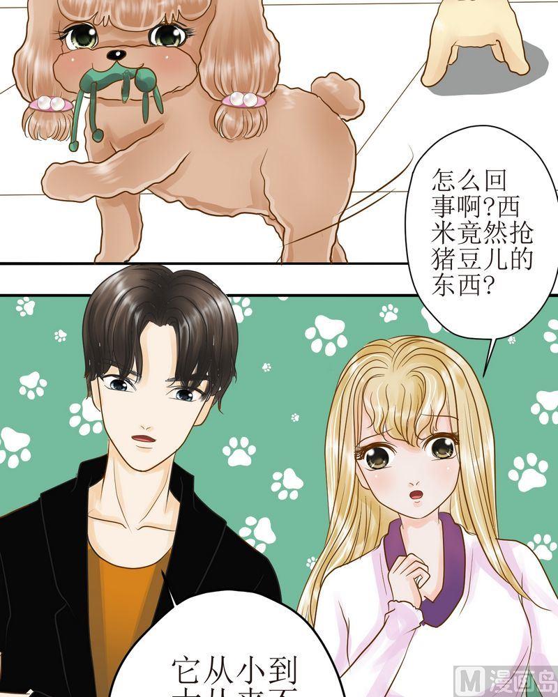 西米和芋圆怎么煮漫画,第26话 发泄or训练2图