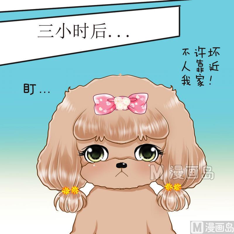 西米和猪豆儿漫画,第21话 狗狗心事（上）2图