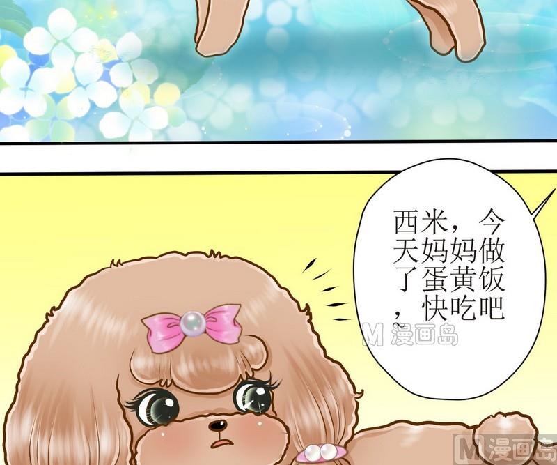 西米和什么搭配好吃漫画,第12话 吃饱饱玩球球2图