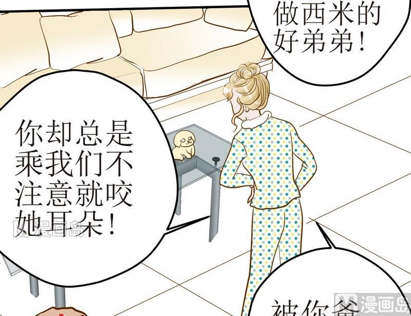 西米和小西米的区别漫画,第6话 开课啦（上）1图