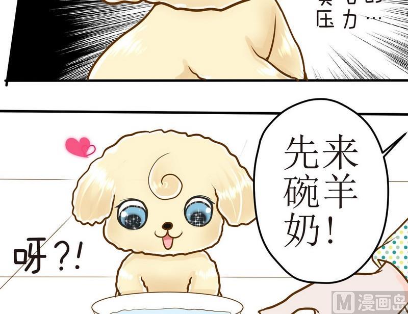 西米和小西米的区别漫画,第6话 开课啦（上）2图