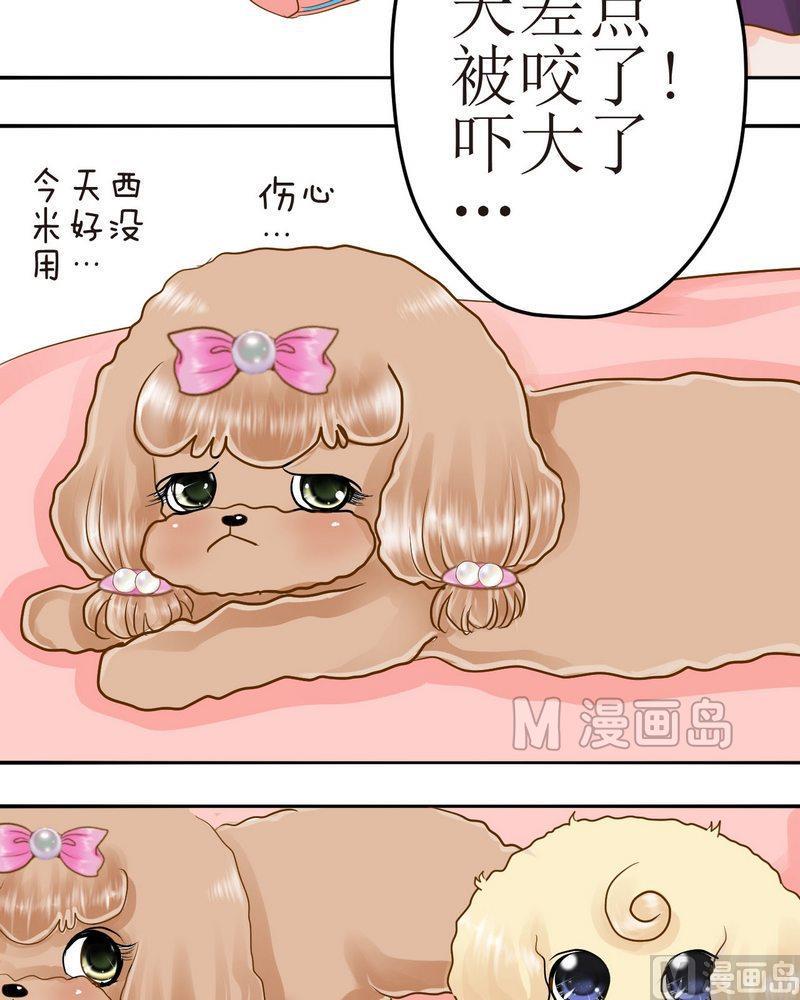 西米和猪豆儿漫画,第25话 宿敌出现1图