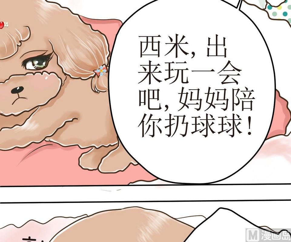 西米和粘米粉怎么做好吃漫画,第3话 伤心的小公举2图