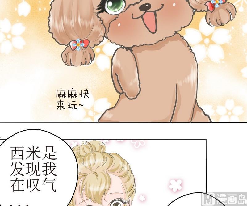 西米和什么搭配好吃漫画,第2话 第二个毛孩儿1图