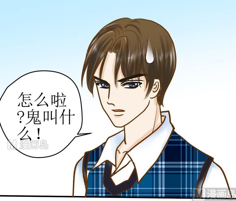 西米和猪豆儿漫画,第8话 汝名猪豆儿1图