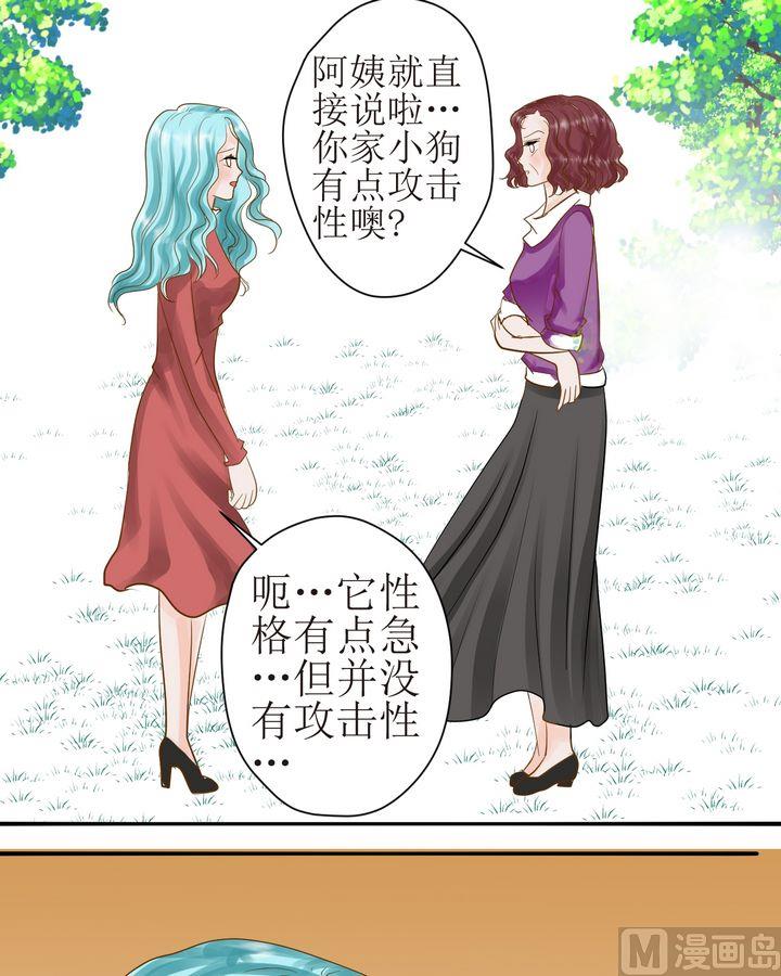 西米和猪豆儿漫画,第28话 毛小孩的战斗（上）1图