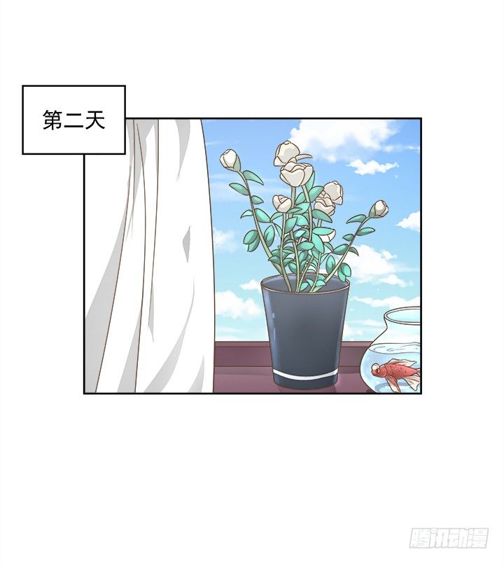 家政女王的小说漫画,14话 外貌并不代表所有1图