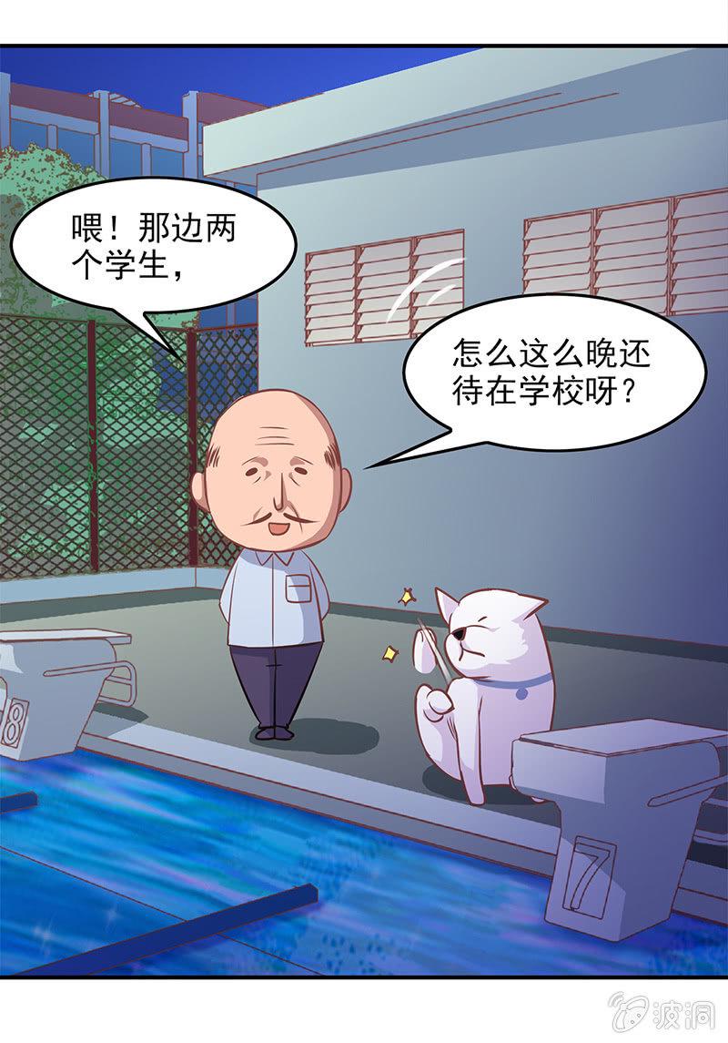 喵星大作战官网漫画,第四十七回2图