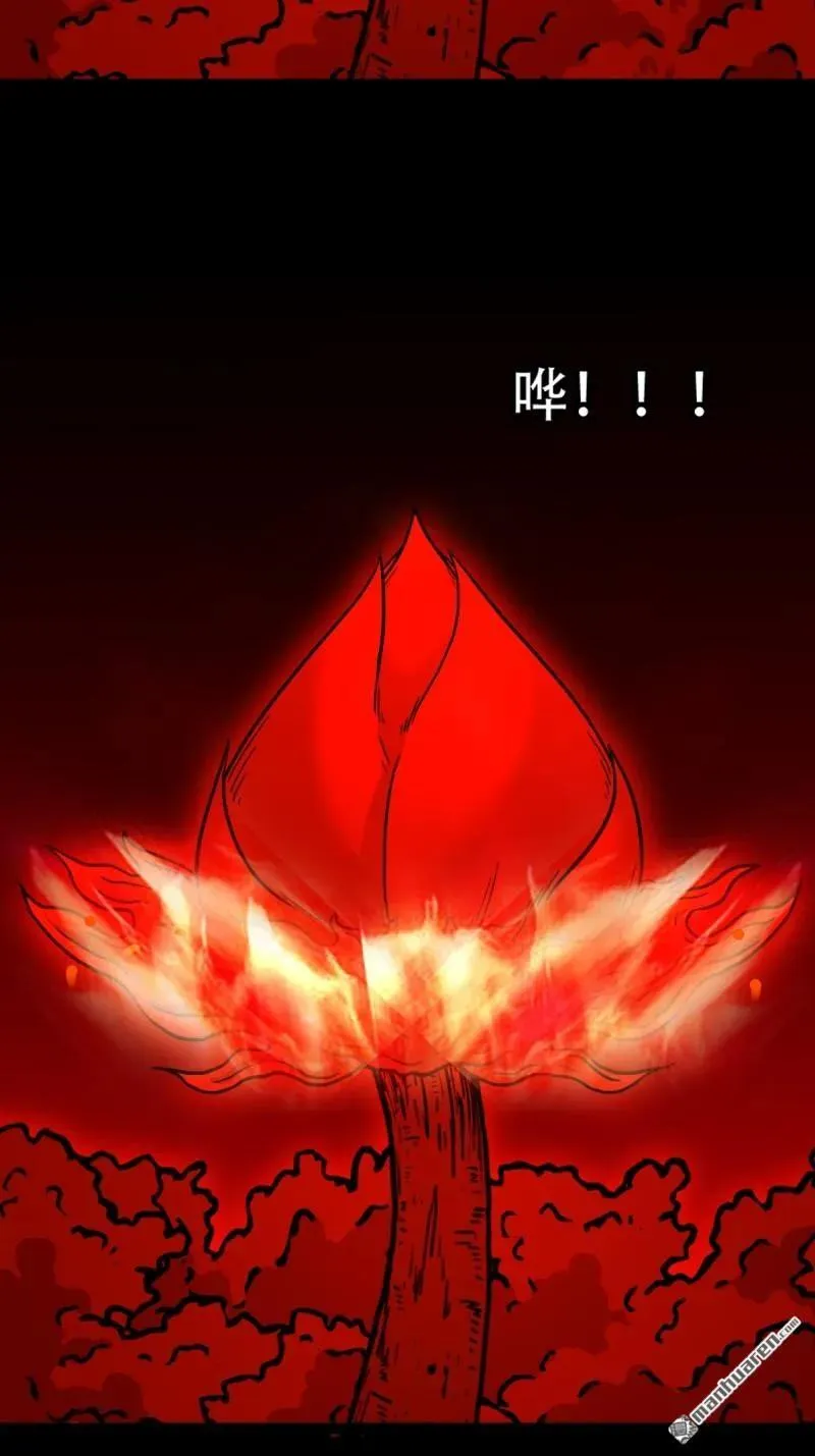 斗厌神漫画免费下拉式观看最新漫画,第286回 炼赤地1图