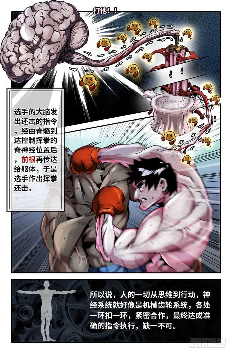 史上最强医药反腐风暴来袭漫画,神经系统2图