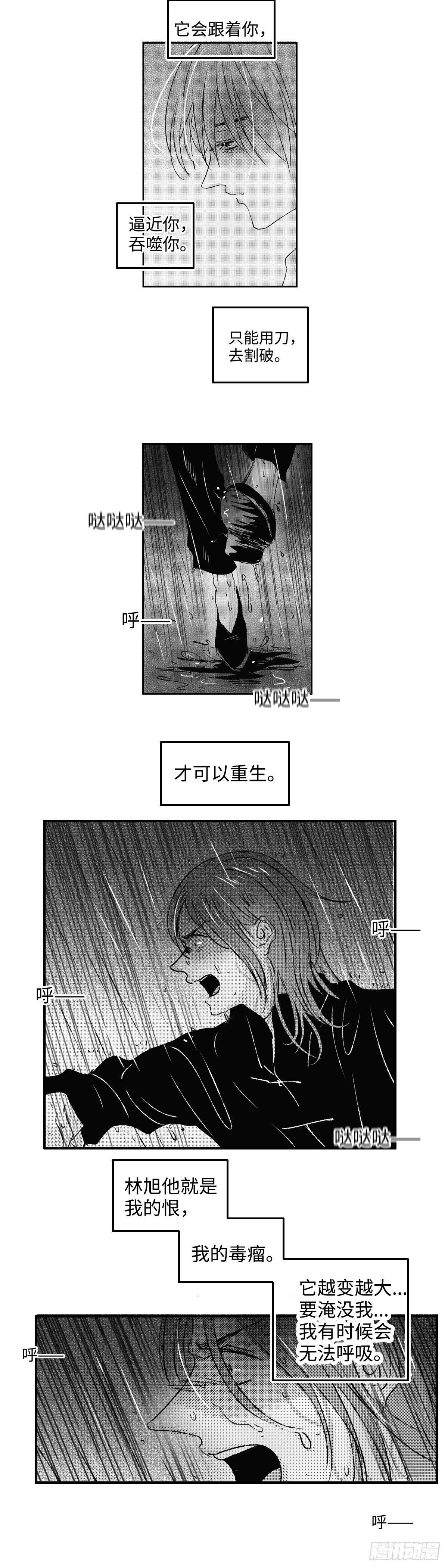 傻子医仙林羽完整版小说漫画,一百零四回《恨》2图