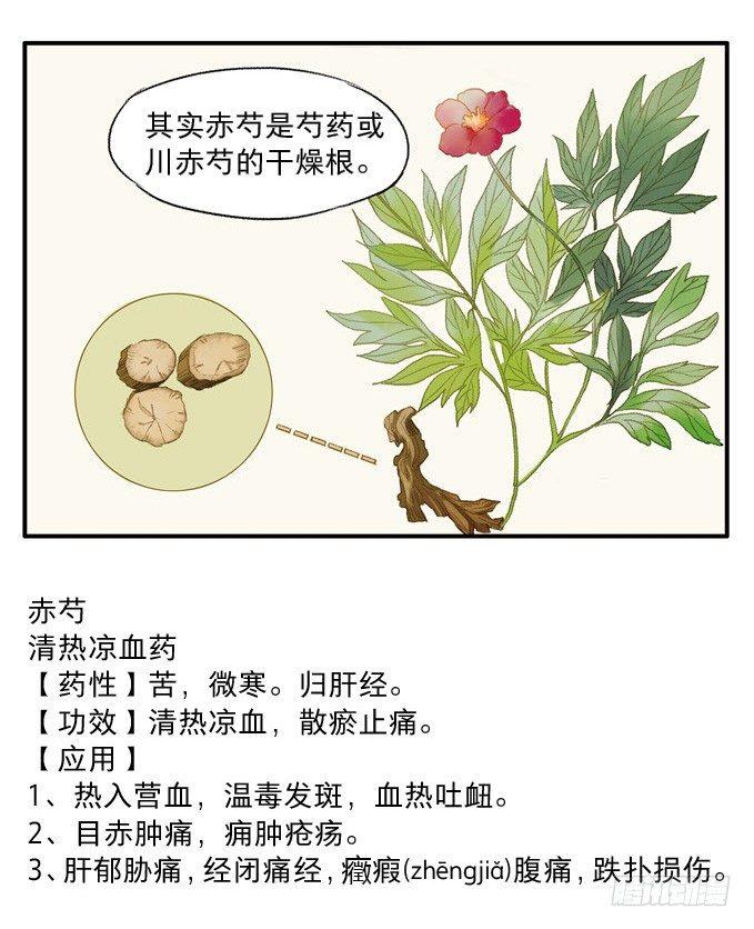 本草孤虚录漫画,无忧不记年（二）1图