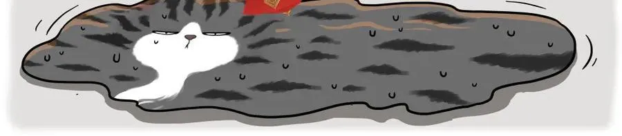吾皇巴扎黑漫画,第437话 隐藏身份2图