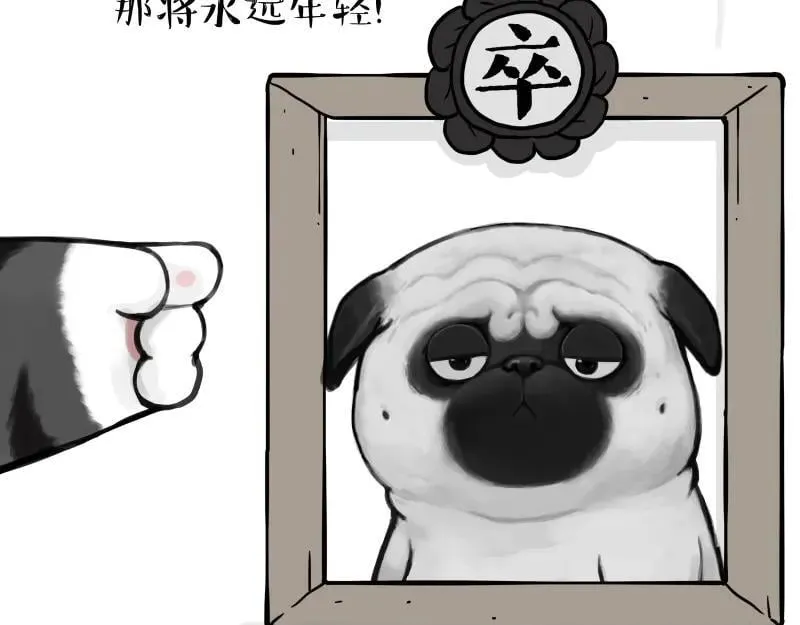 吾皇巴扎黑图片漫画,第431话 老大和老大？1图