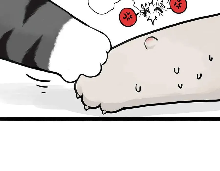 吾皇巴扎黑漫画全集漫画,第433话 驱蚊妙计1图