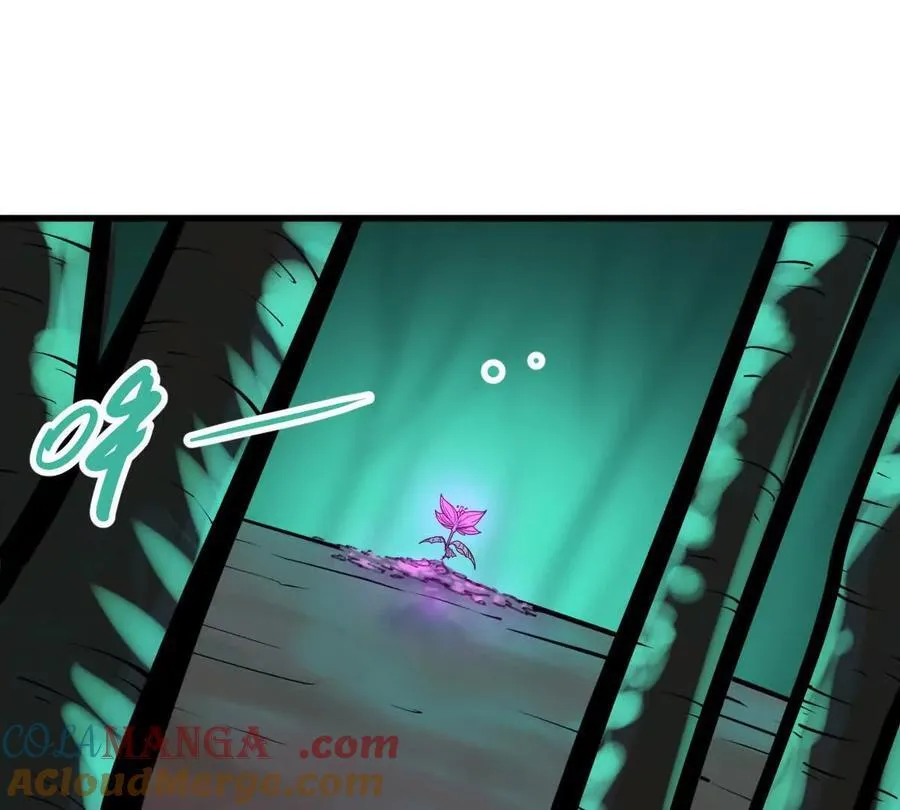 我的宗门亿点强漫画在哪看漫画,第46回 紫灵玄花1图