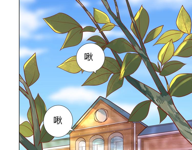 不逃婚不许成精漫画,第4话 婚礼来的太快就像龙卷风1图