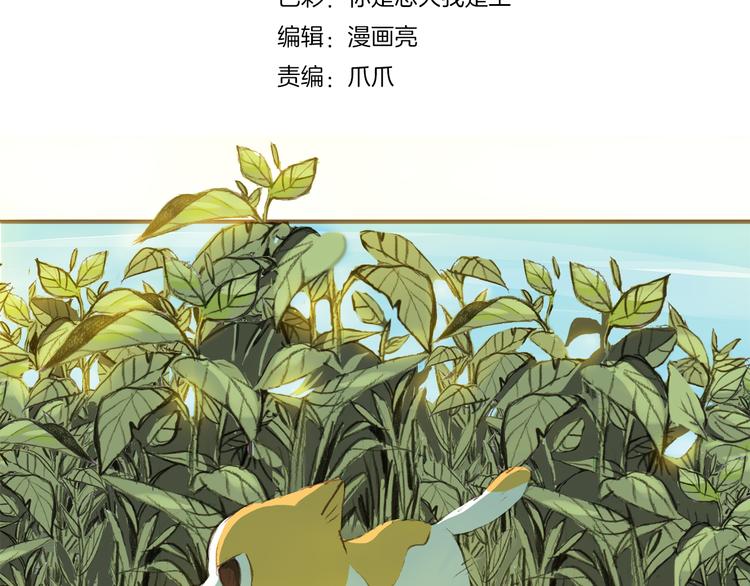 心之彼岸之雷雨国度漫画,第6话 你的时间所剩不多了2图