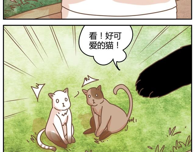 我的男朋友是熊猫漫画,相知篇#3 居然想逃跑？！1图