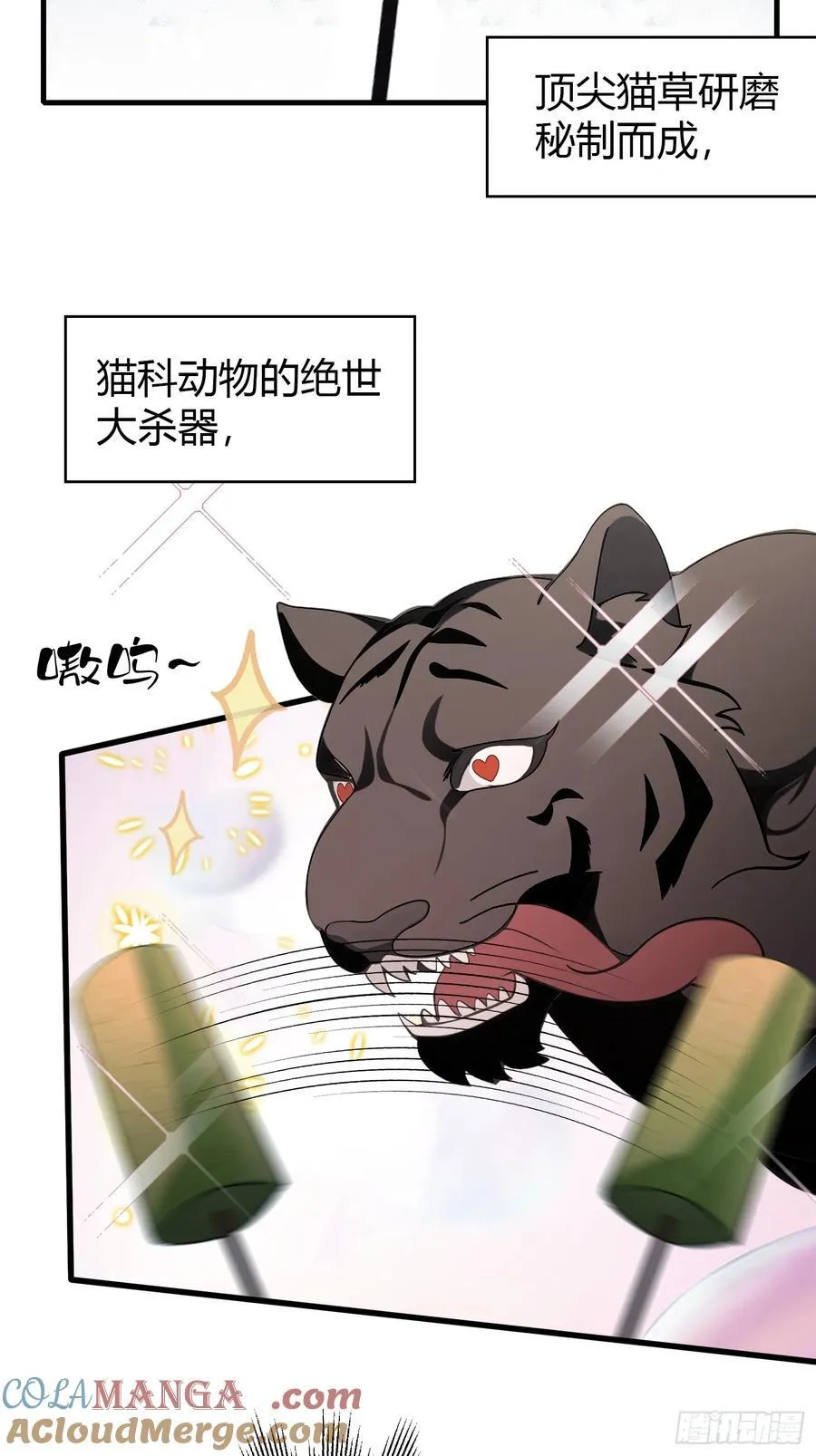 原来我早就无敌了137漫画,第102话 老虎也是猫？1图