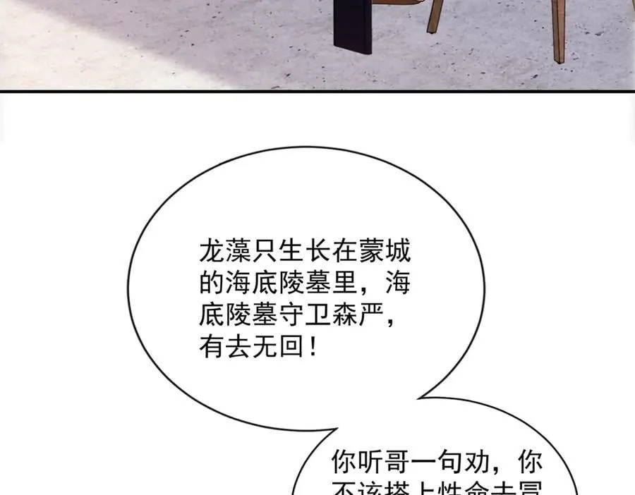 龙崽来袭妈咪狠又辣完整版漫画,108 蒙城城主2图