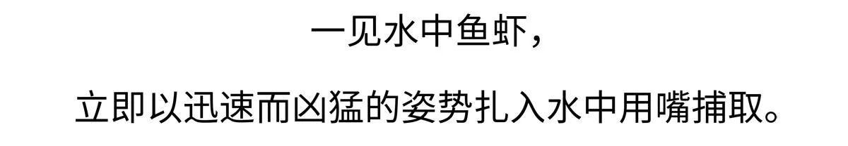 胖达熊猫棒球漫画,第220话2图