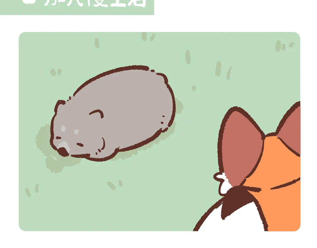 胖达熊猫棒球漫画,第221话1图
