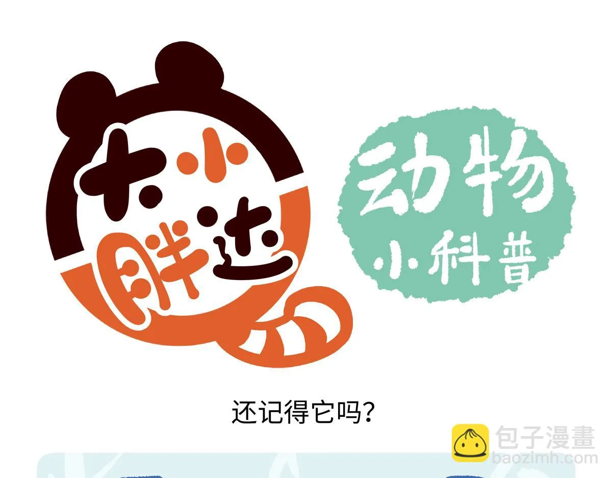 胖达熊猫棒球漫画,第220话1图