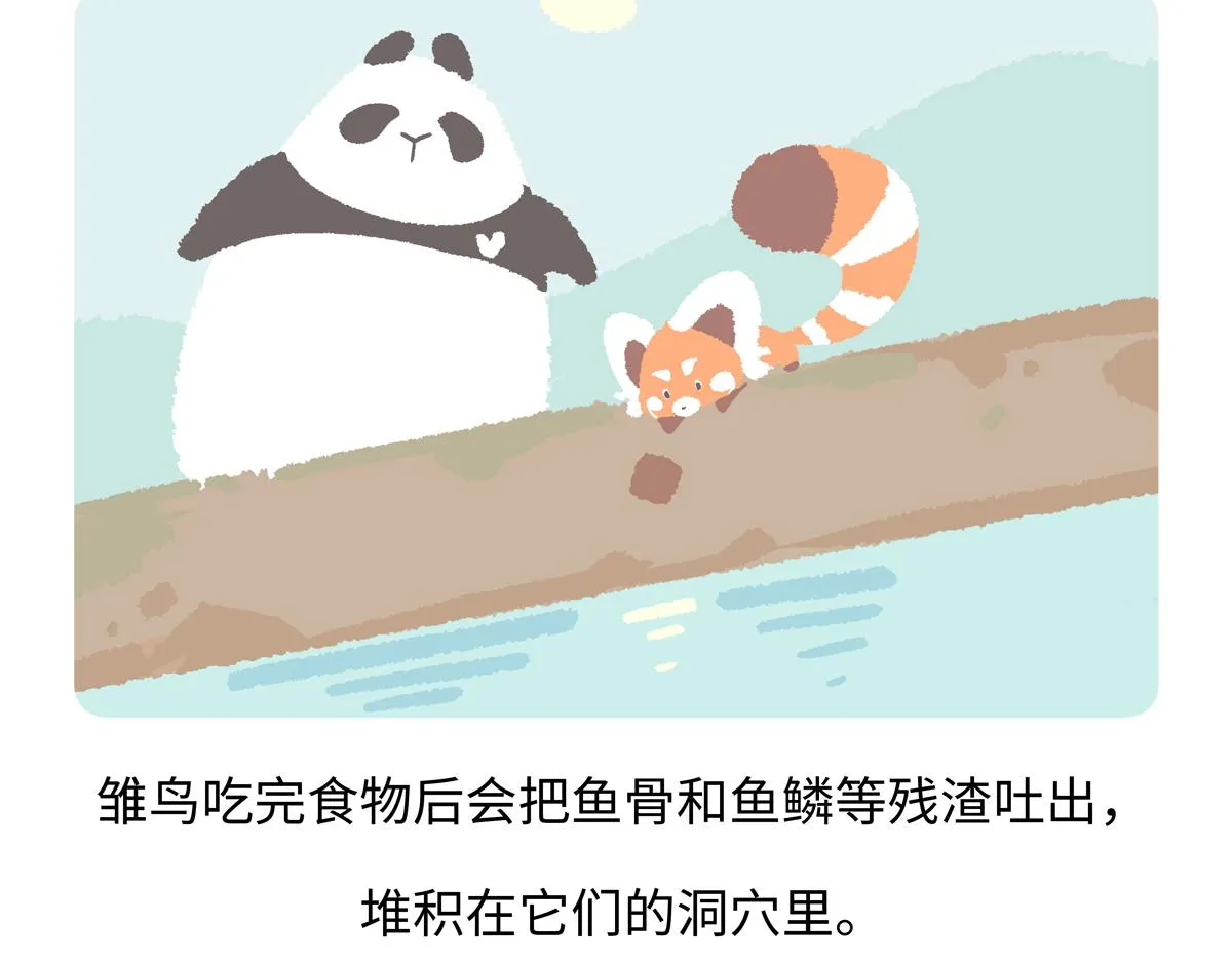 胖达熊猫棒球漫画,第219话2图